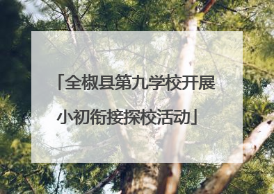 全椒县第九学校开展小初衔接探校活动