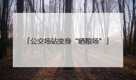 公交场站变身“晒粮场”