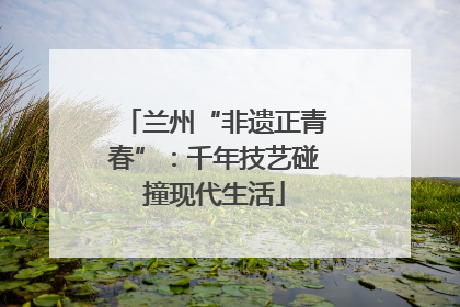 兰州“非遗正青春”：千年技艺碰撞现代生活