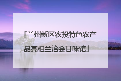 兰州新区农投特色农产品亮相兰洽会甘味馆