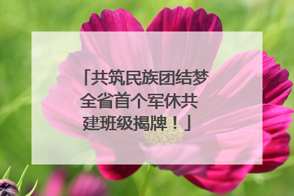 共筑民族团结梦 全省首个军休共建班级揭牌！