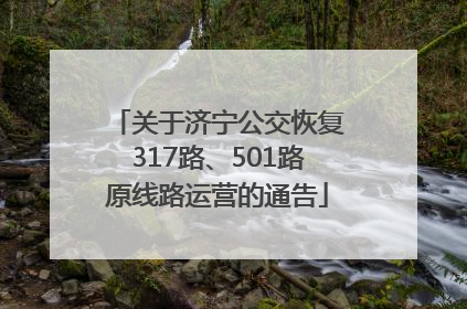 关于济宁公交恢复317路、501路原线路运营的通告