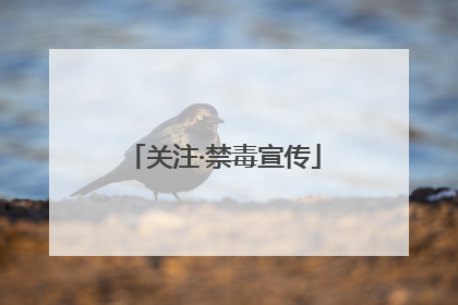 关注·禁毒宣传