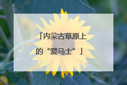 内蒙古草原上的“爱马士”