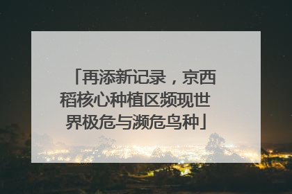 再添新记录，京西稻核心种植区频现世界极危与濒危鸟种