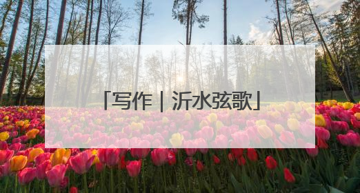写作｜沂水弦歌