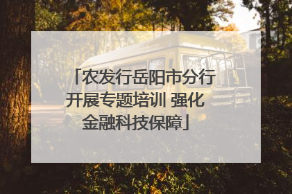 农发行岳阳市分行开展专题培训 强化金融科技保障