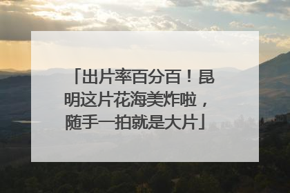 出片率百分百！昆明这片花海美炸啦，随手一拍就是大片