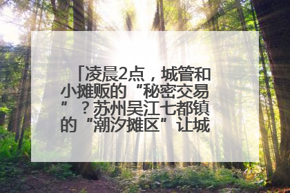 凌晨2点，城管和小摊贩的“秘密交易”？苏州吴江七都镇的“潮汐摊区”让城市管理有了人情味