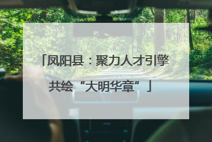 凤阳县：聚力人才引擎 共绘“大明华章”