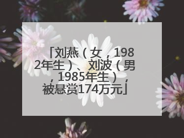 刘燕（女，1982年生）、刘波（男，1985年生），被悬赏174万元