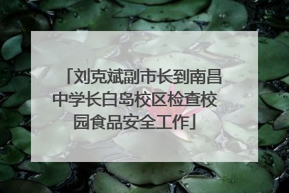 刘克斌副市长到南昌中学长白岛校区检查校园食品安全工作