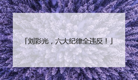 刘彩光，六大纪律全违反！