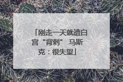 刚走一天就遭白宫“背刺” 马斯克：很失望