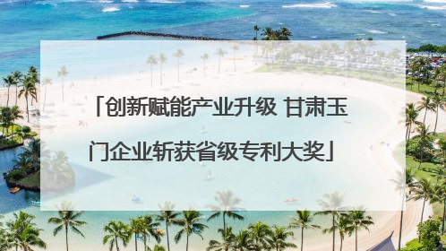 创新赋能产业升级 甘肃玉门企业斩获省级专利大奖