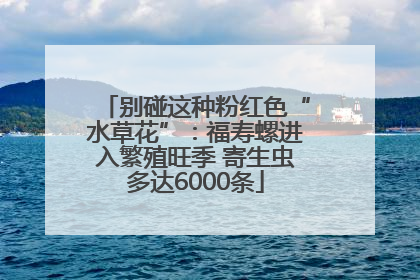 别碰这种粉红色“水草花”：福寿螺进入繁殖旺季 寄生虫多达6000条