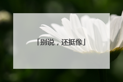 别说，还挺像