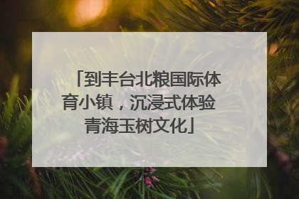 到丰台北粮国际体育小镇，沉浸式体验青海玉树文化