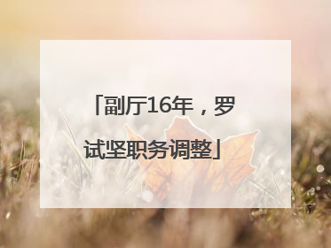 副厅16年，罗试坚职务调整