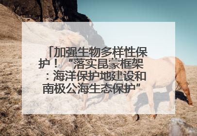 加强生物多样性保护！“落实昆蒙框架：海洋保护地建设和南极公海生态保护”主题论坛将举办