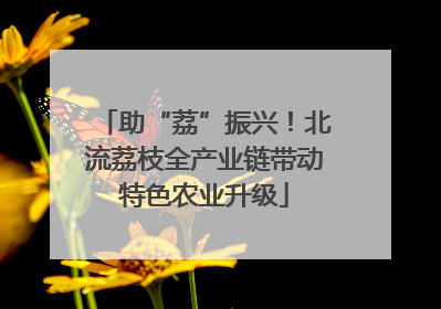 助“荔”振兴！北流荔枝全产业链带动特色农业升级