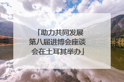 助力共同发展 第八届进博会座谈会在土耳其举办