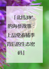 北纬39°的海参故事：上品堂春捕季背后的生态密码