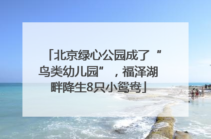 北京绿心公园成了“鸟类幼儿园”，福泽湖畔降生8只小鸳鸯