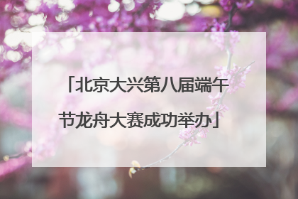 北京大兴第八届端午节龙舟大赛成功举办