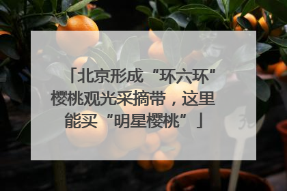 北京形成“环六环”樱桃观光采摘带，这里能买“明星樱桃”