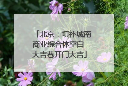 北京：填补城南商业综合体空白 大吉巷开门大吉