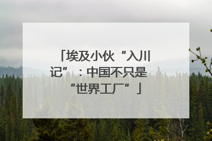埃及小伙“入川记”：中国不只是“世界工厂”