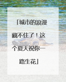 城市的浪漫藏不住了！这个夏天祝你一路生花
