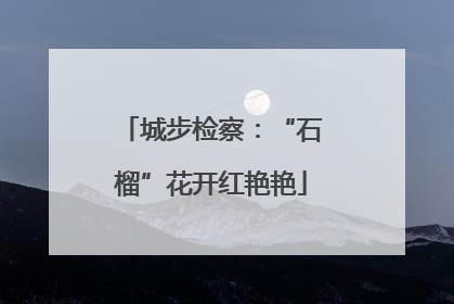 城步检察：“石榴”花开红艳艳