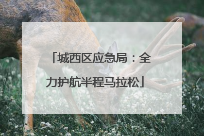 城西区应急局：全力护航半程马拉松