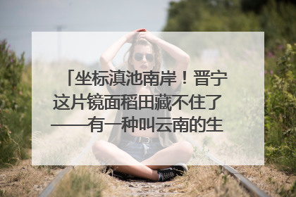 坐标滇池南岸！晋宁这片镜面稻田藏不住了——有一种叫云南的生活之365天