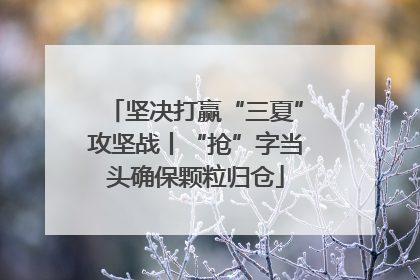 坚决打赢“三夏”攻坚战丨“抢”字当头确保颗粒归仓