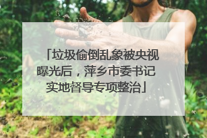垃圾偷倒乱象被央视曝光后，萍乡市委书记实地督导专项整治