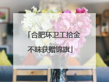 合肥环卫工拾金不昧获赠锦旗