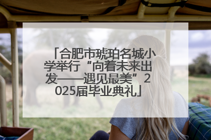 合肥市琥珀名城小学举行“向着未来出发——遇见最美”2025届毕业典礼