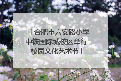 合肥市六安路小学中铁国际城校区举行校园文化艺术节