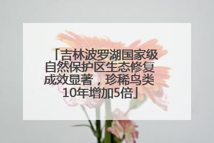 吉林波罗湖国家级自然保护区生态修复成效显著，珍稀鸟类10年增加5倍