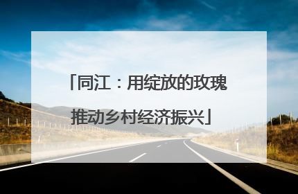 同江：用绽放的玫瑰 推动乡村经济振兴