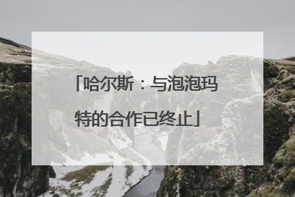 哈尔斯：与泡泡玛特的合作已终止