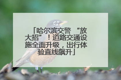 哈尔滨交警 “放大招”！道路交通设施全面升级，出行体验直线飙升