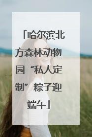哈尔滨北方森林动物园“私人定制”粽子迎端午