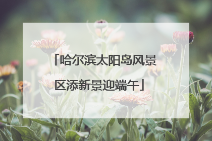 哈尔滨太阳岛风景区添新景迎端午