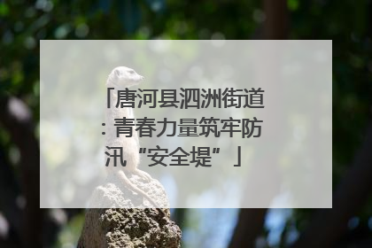 唐河县泗洲街道：青春力量筑牢防汛“安全堤”
