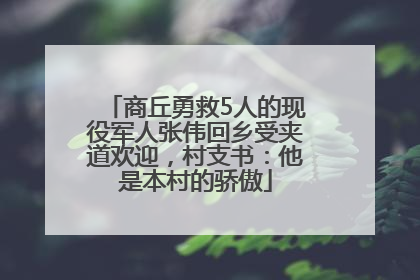 商丘勇救5人的现役军人张伟回乡受夹道欢迎，村支书：他是本村的骄傲