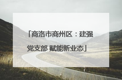 商洛市商州区：建强党支部 赋能新业态